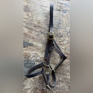 Leather pony halter